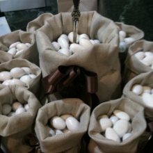 Dégustation dragées Dégustation dragées