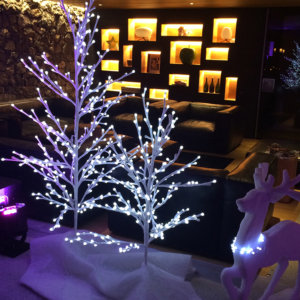 IMG_6475_2---Version-2